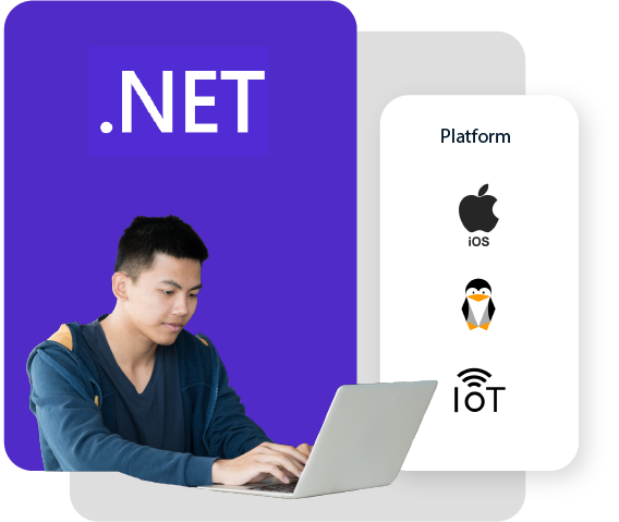 .NET Platform for a c# developer