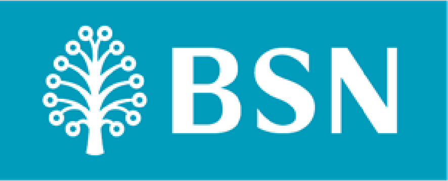 bsn logo latest