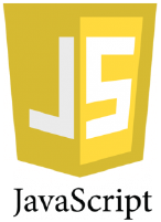 javascript icon asset