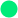 circle-icon