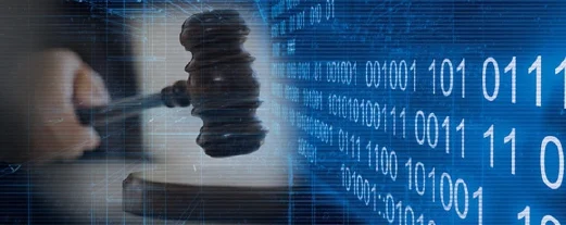 Image of cyber court