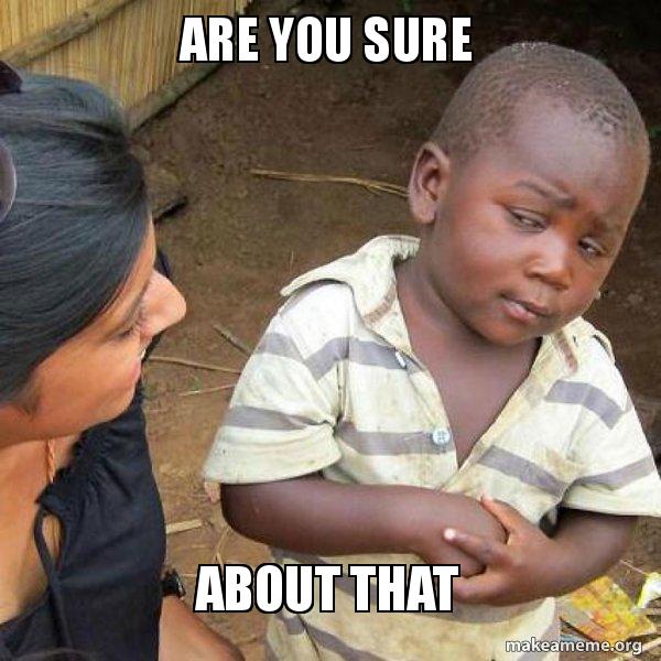 Are you sure meme