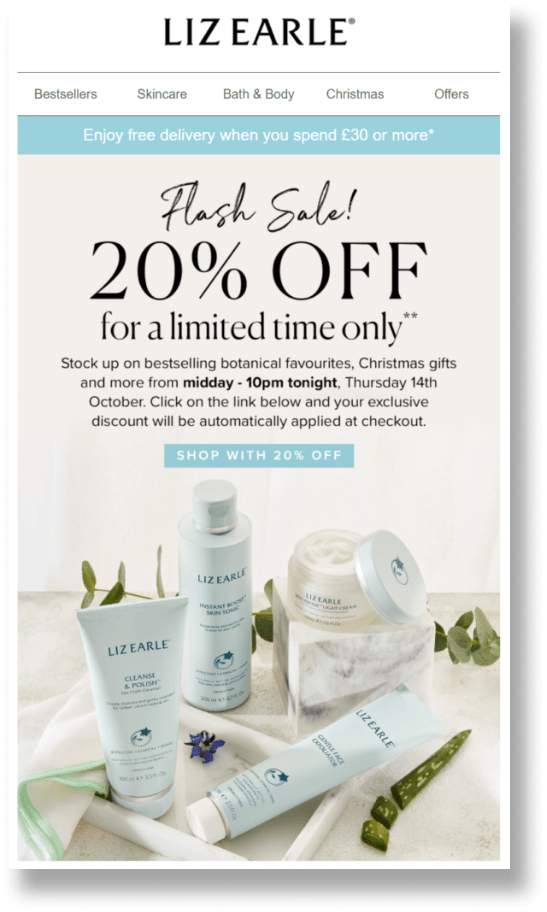 A screenshot of Flash Sale CTA banner by LIZ Earle