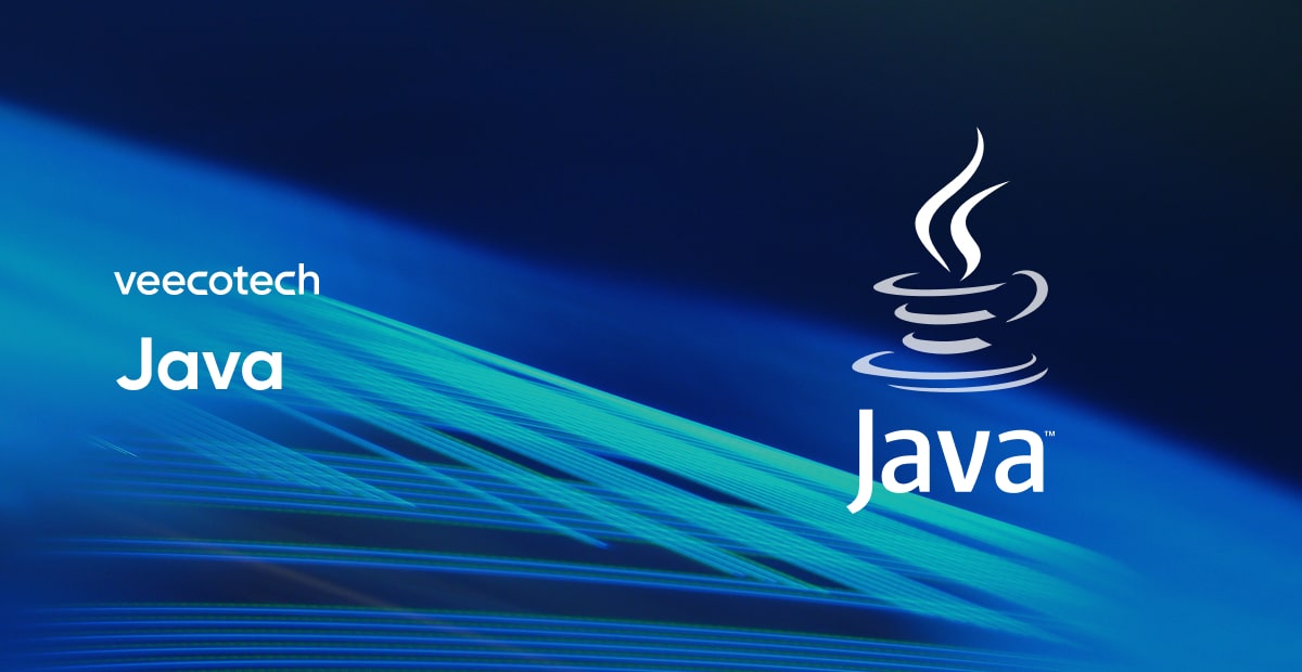 Custom Java Development Services in Malaysia | VeecoTech
